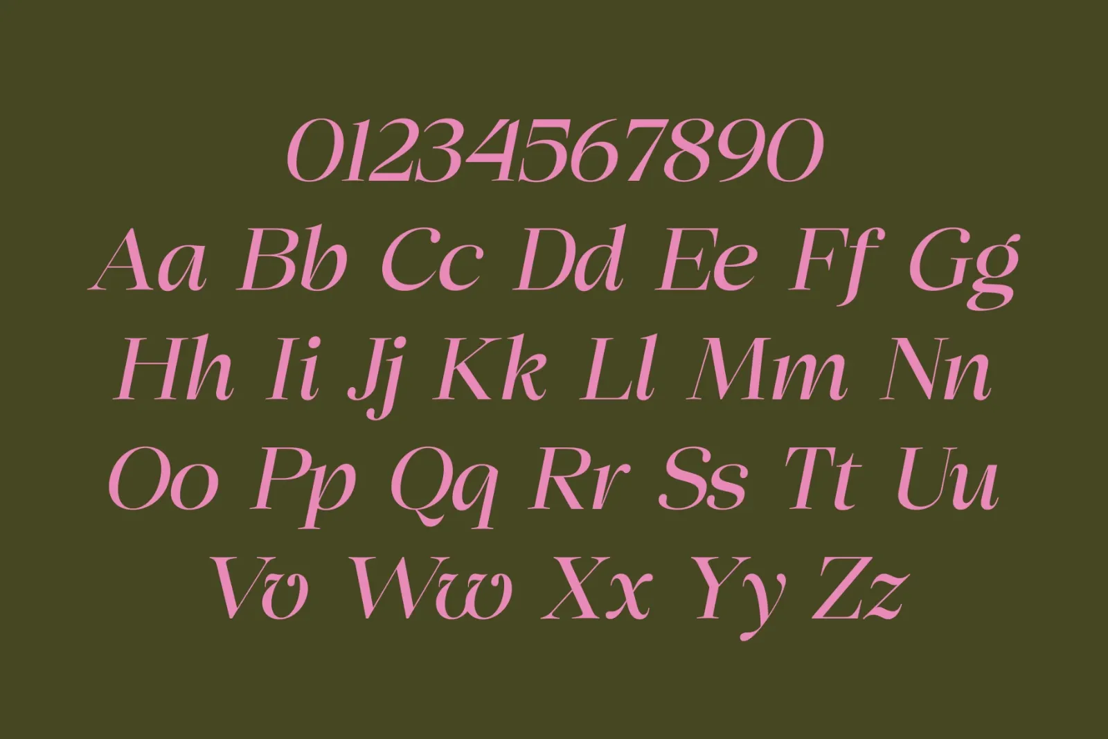 Chilton - Family Serif — image 9