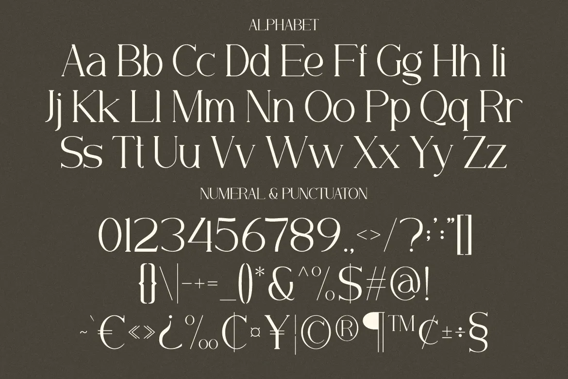 Minorid - A Modern Serif Font — image 2