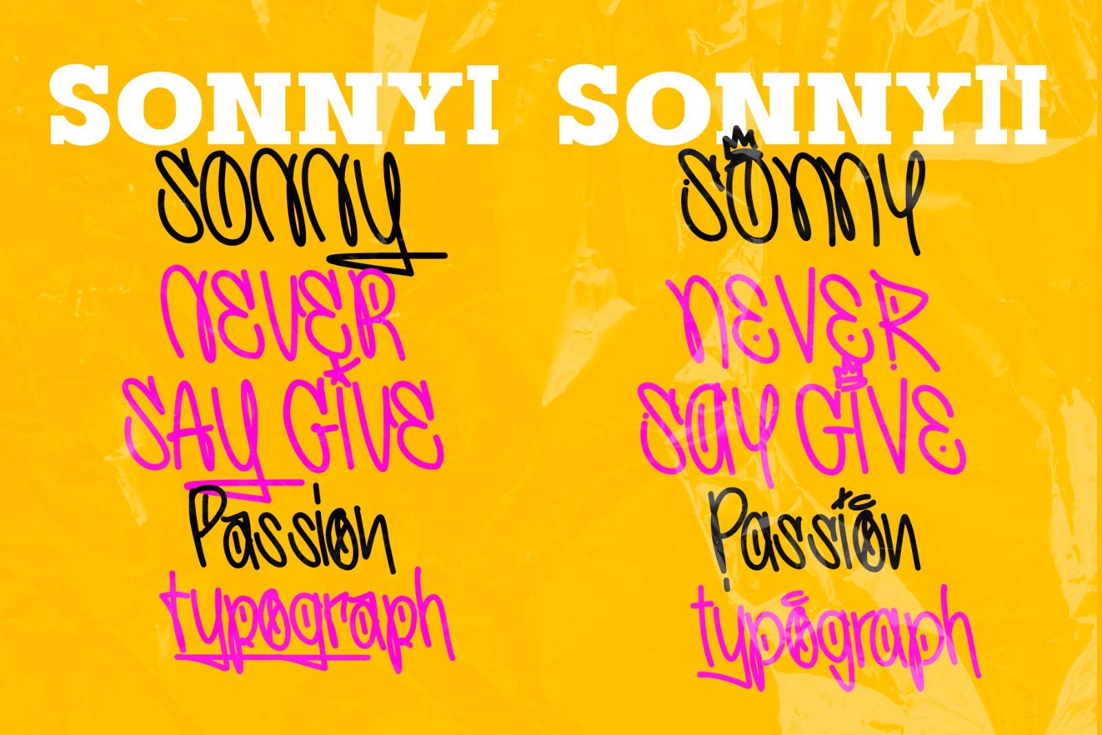 Sonny — image 6