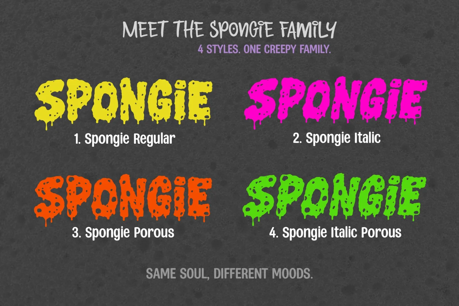 SPONGIE — image 2