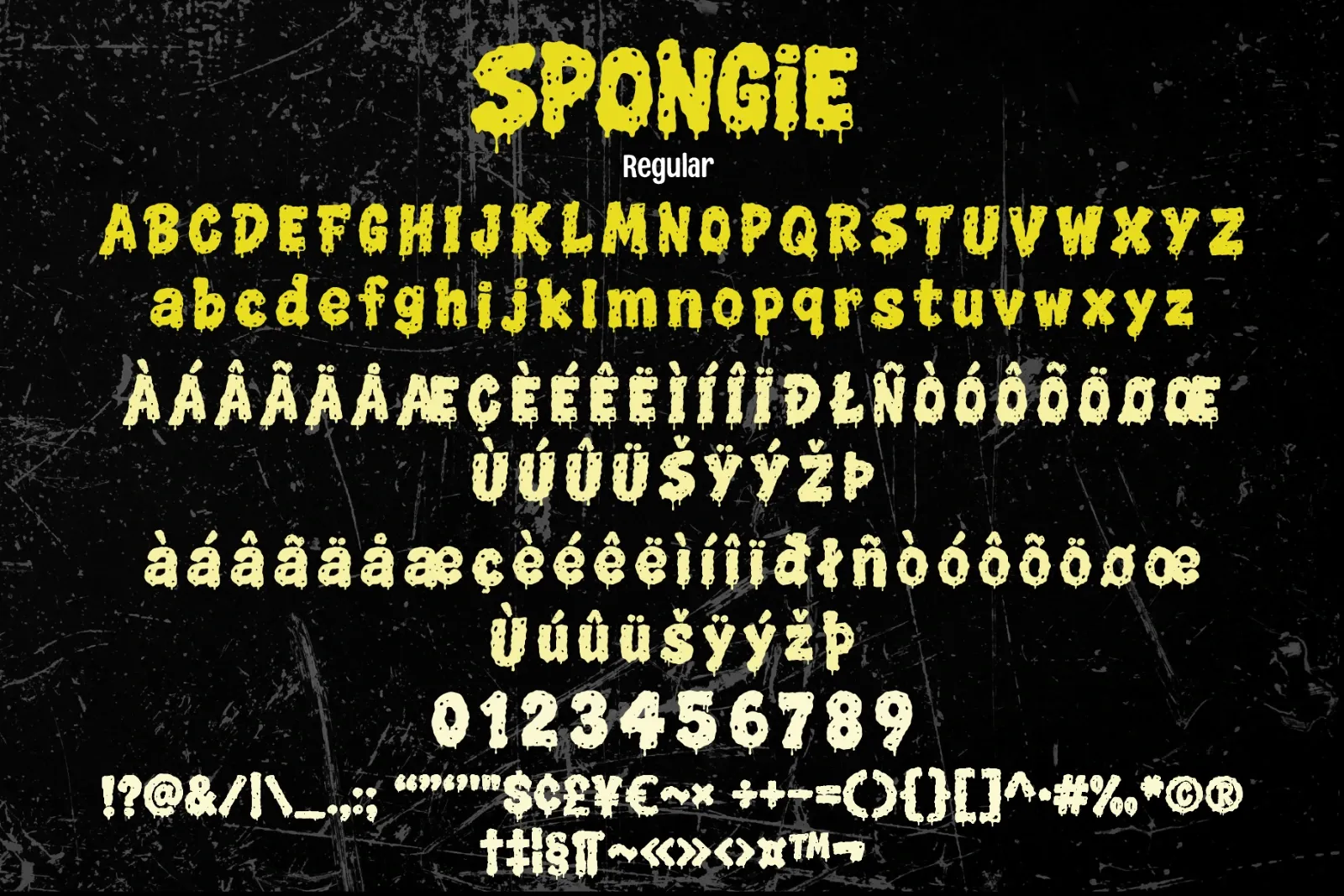 SPONGIE — image 7