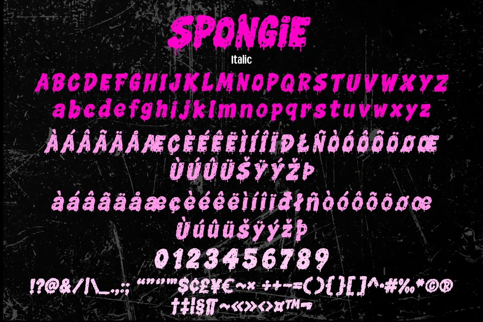 SPONGIE — image 8
