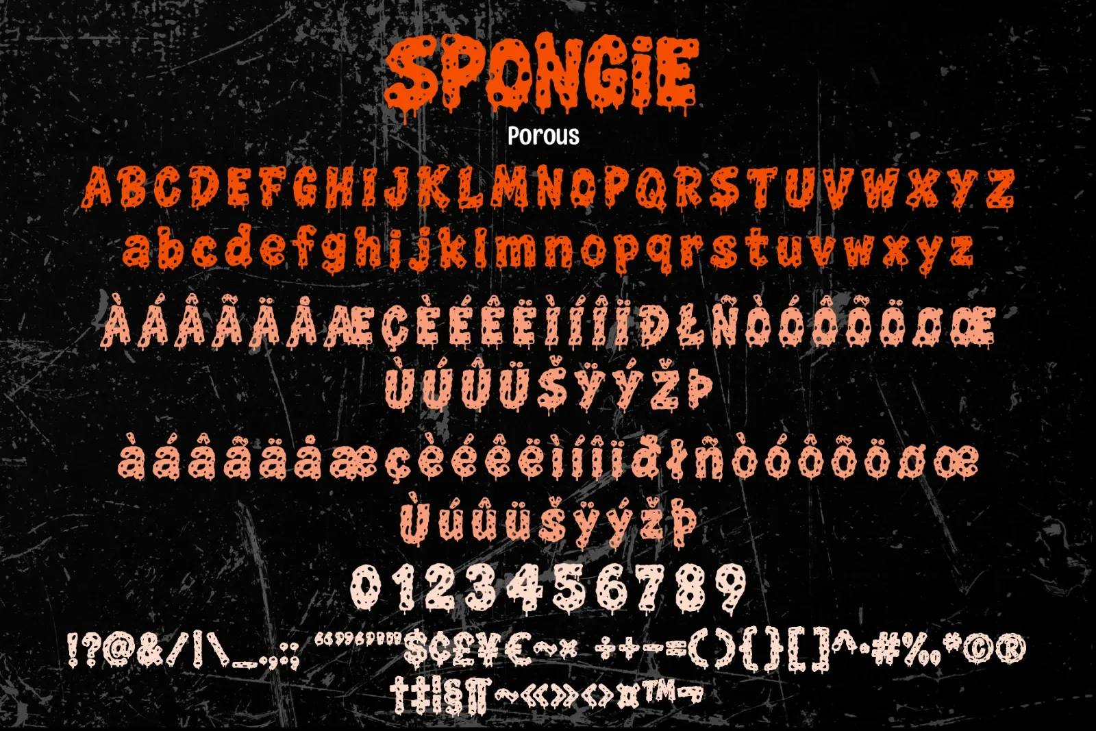 SPONGIE — image 9