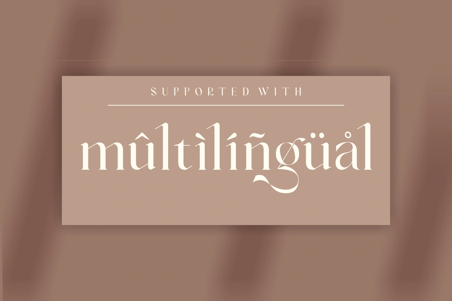 Vanger _ modern serif font — image 10