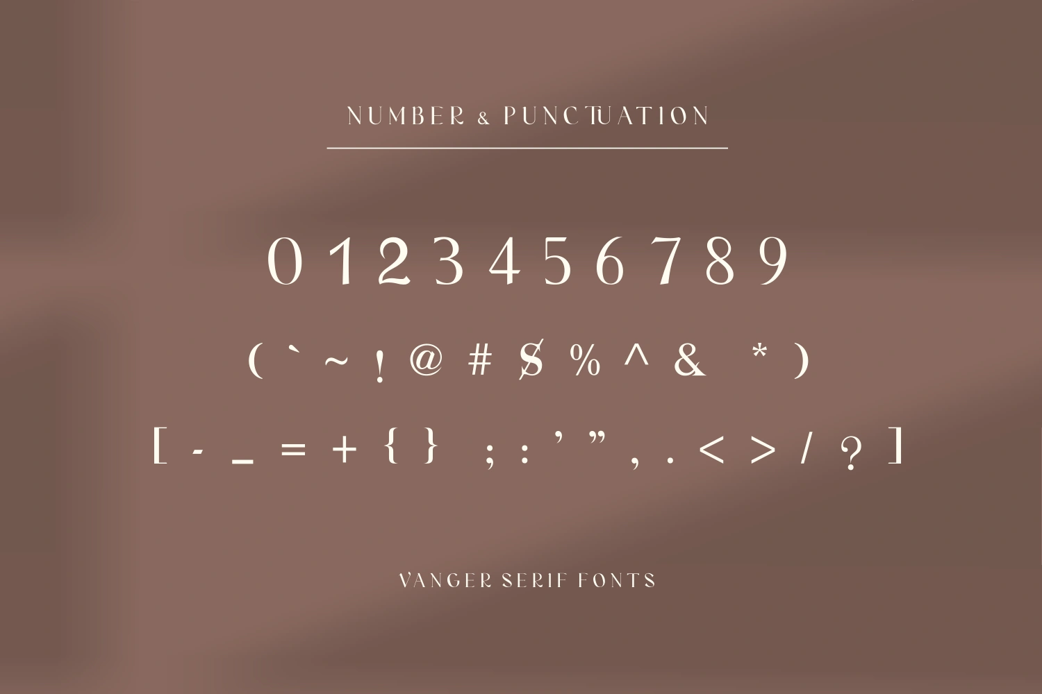 Vanger _ modern serif font — image 8