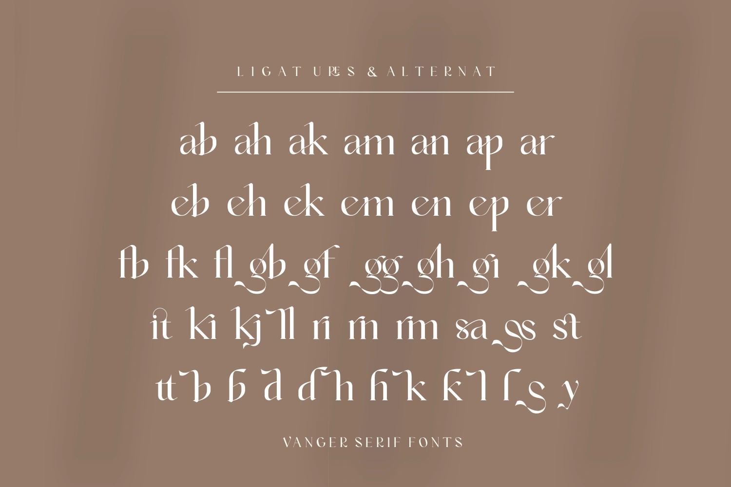 Vanger _ modern serif font — image 9