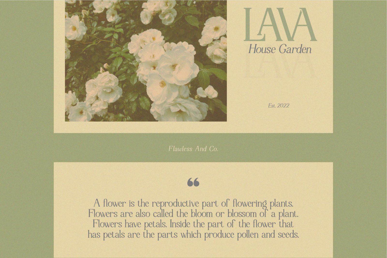Motheer - Elegant Serif Font — image 4