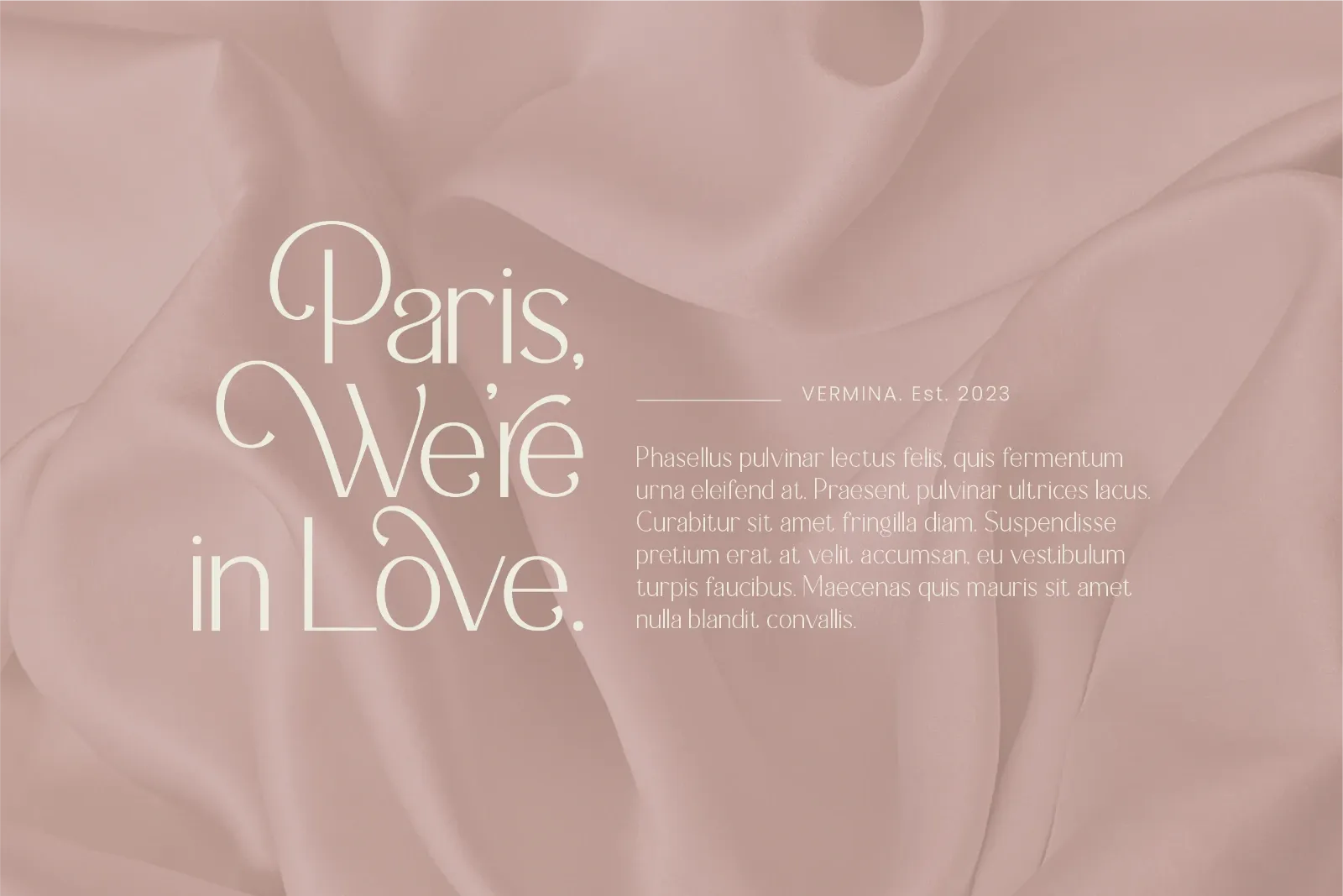 Vermina - Elegant Sans Serif Font — image 3
