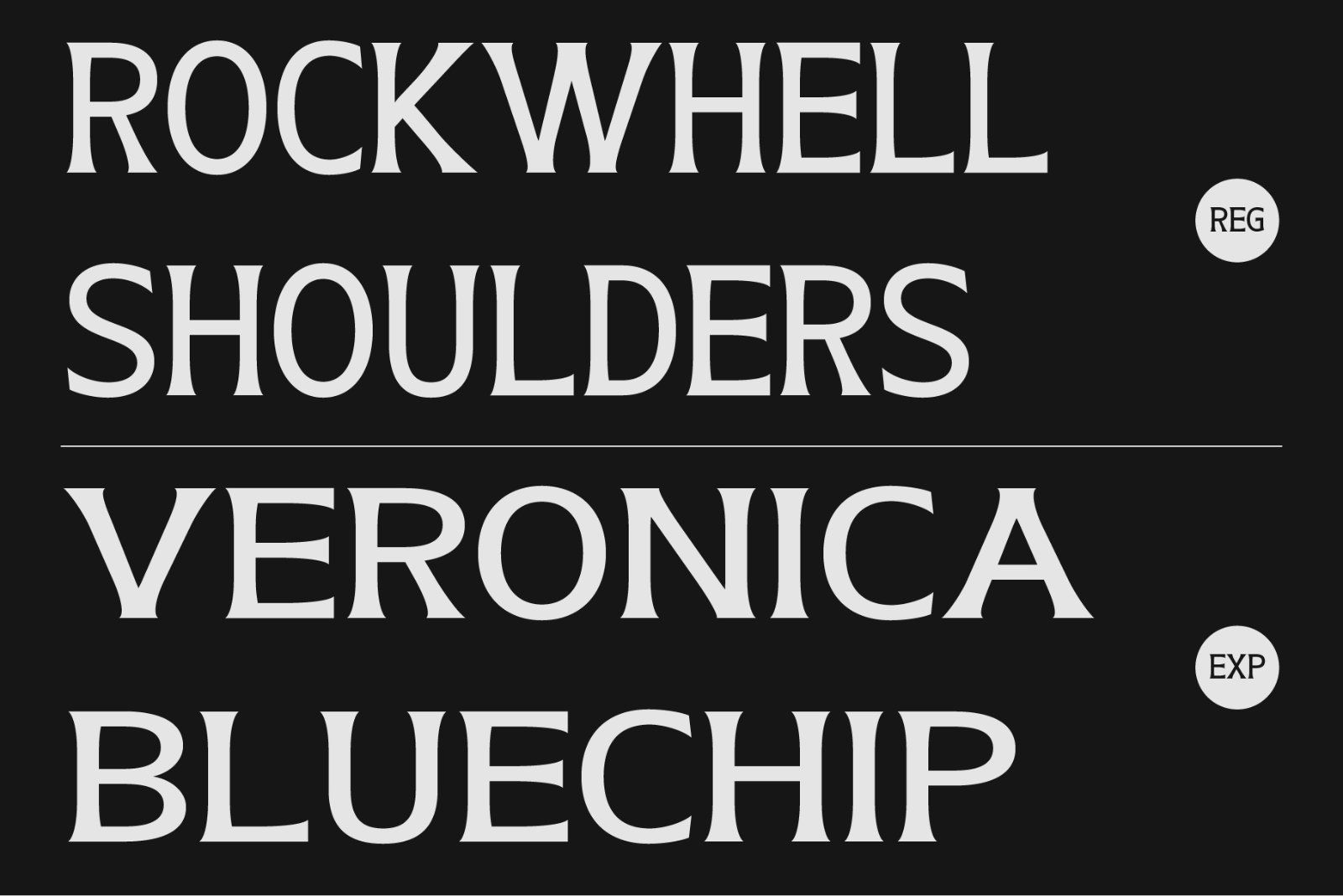 Eutron - Display Serif — image 6