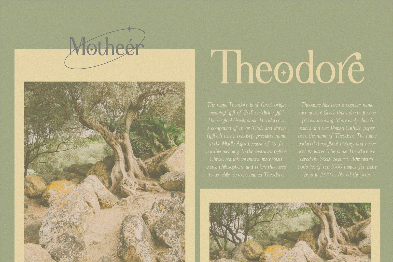Motheer - Elegant Serif Font — image 5