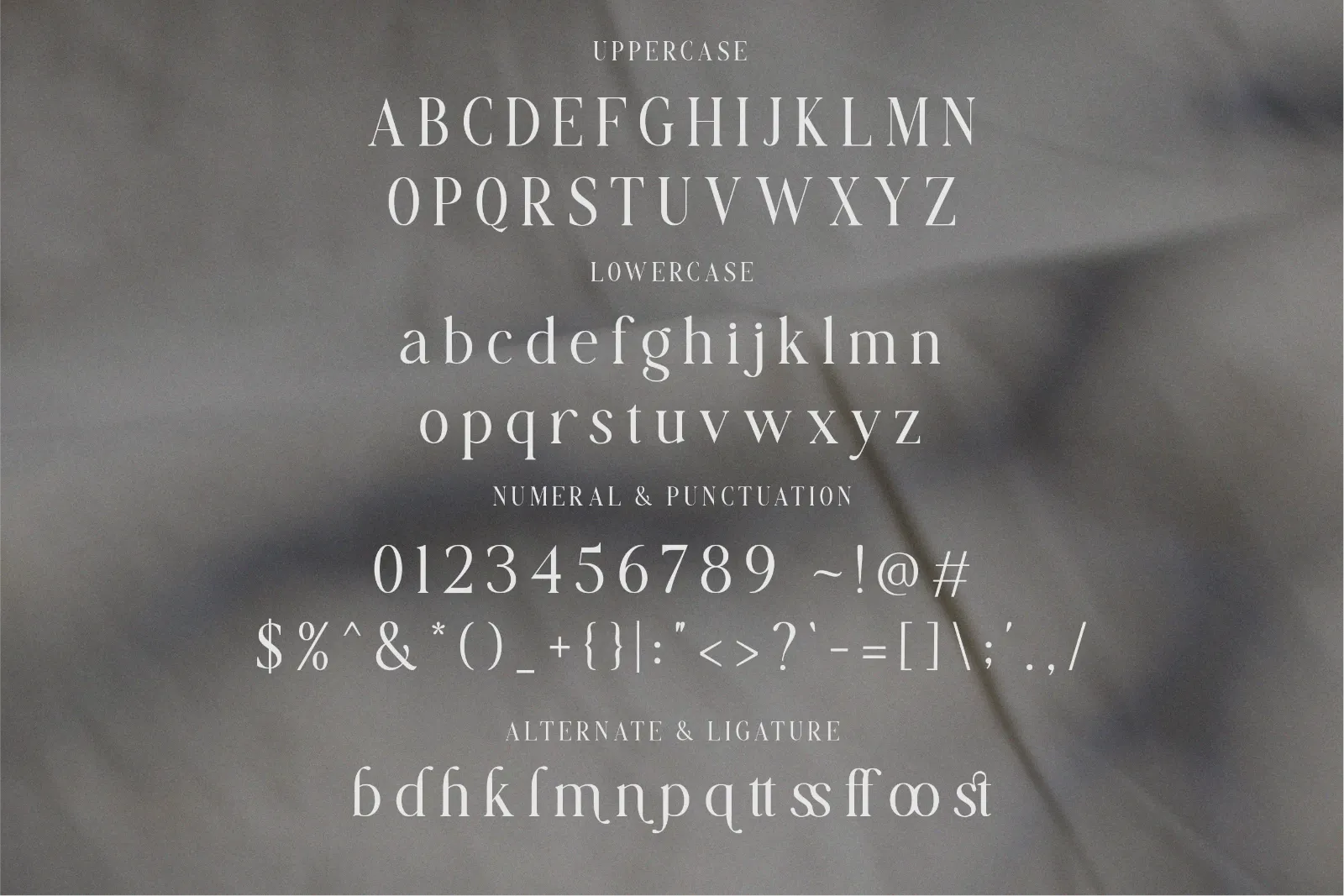 Flawsome - Duo Serif Font — image 9