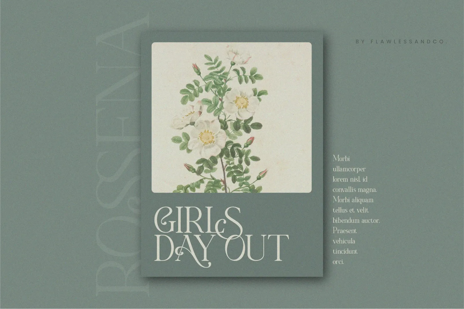 Rossena - Elegant Serif Font — image 5