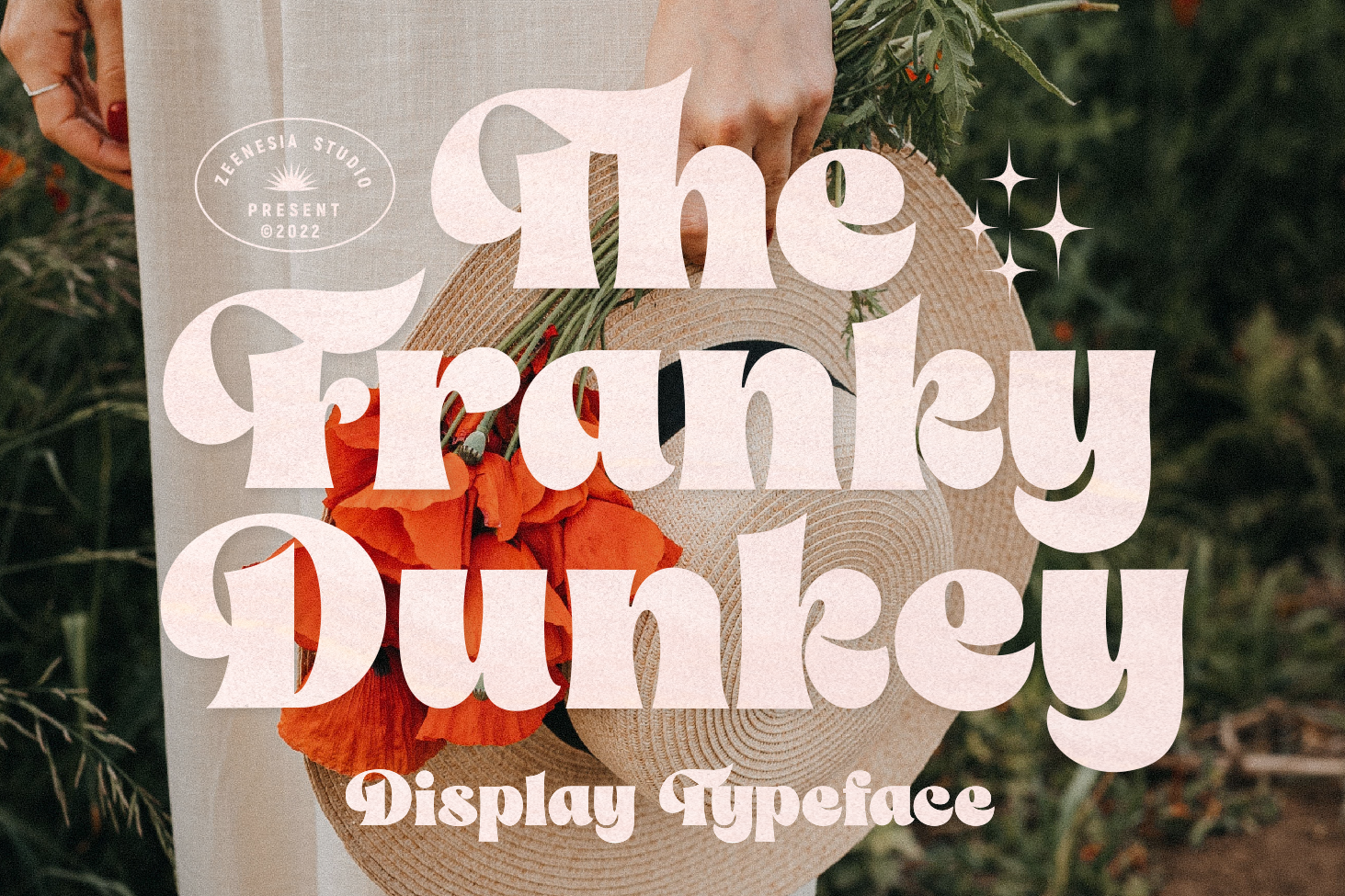 The Franky Dunkey — image 1