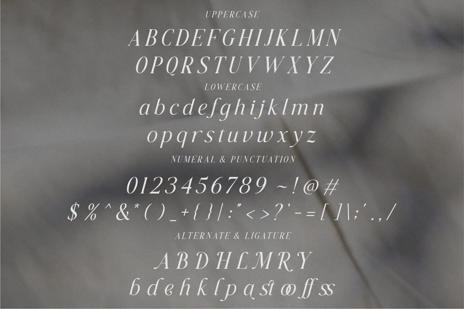Flawsome - Duo Serif Font — image 10