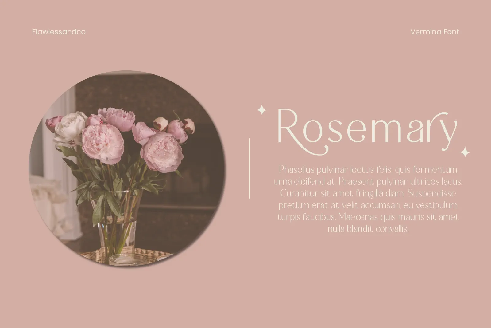 Vermina - Elegant Sans Serif Font — image 2