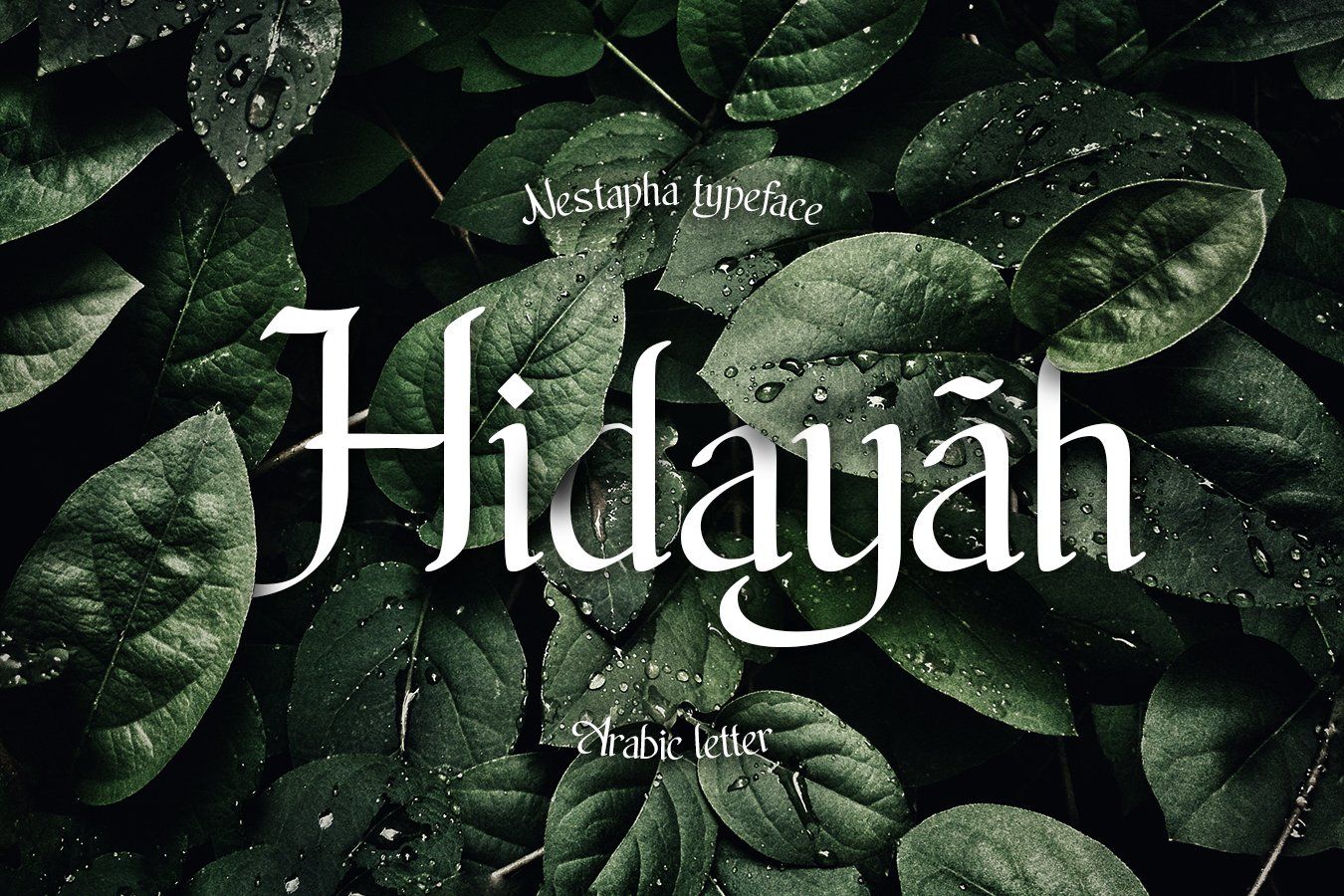 Nestapha - Arabic Display Font — image 2