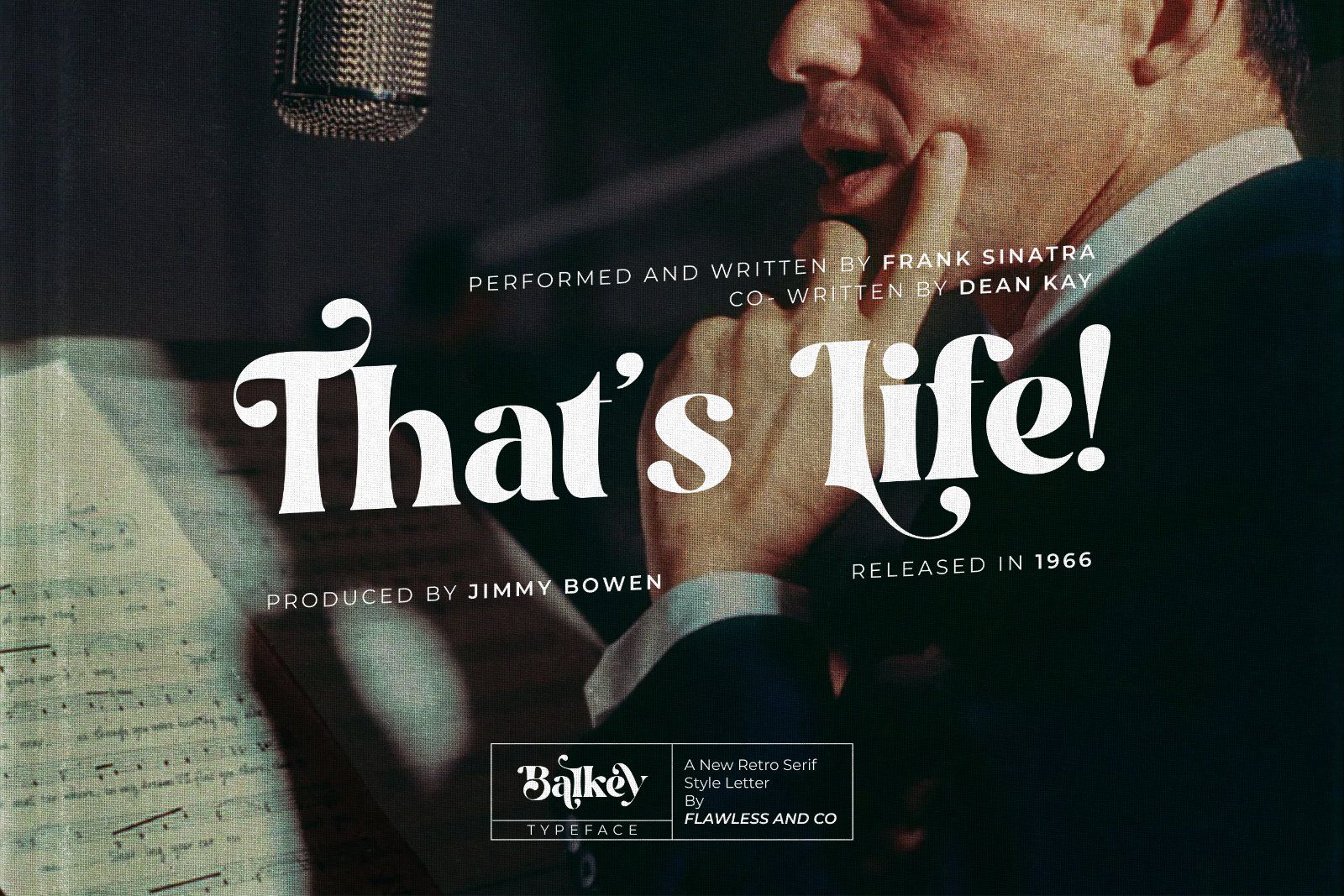 Balkey - Retro Serif Font — image 2