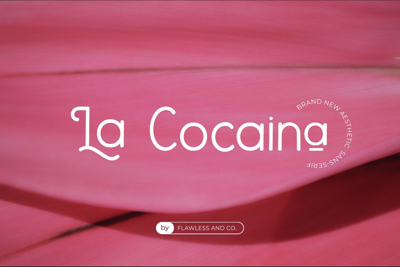 Camello - Elegant Sans Serif Font — image 2