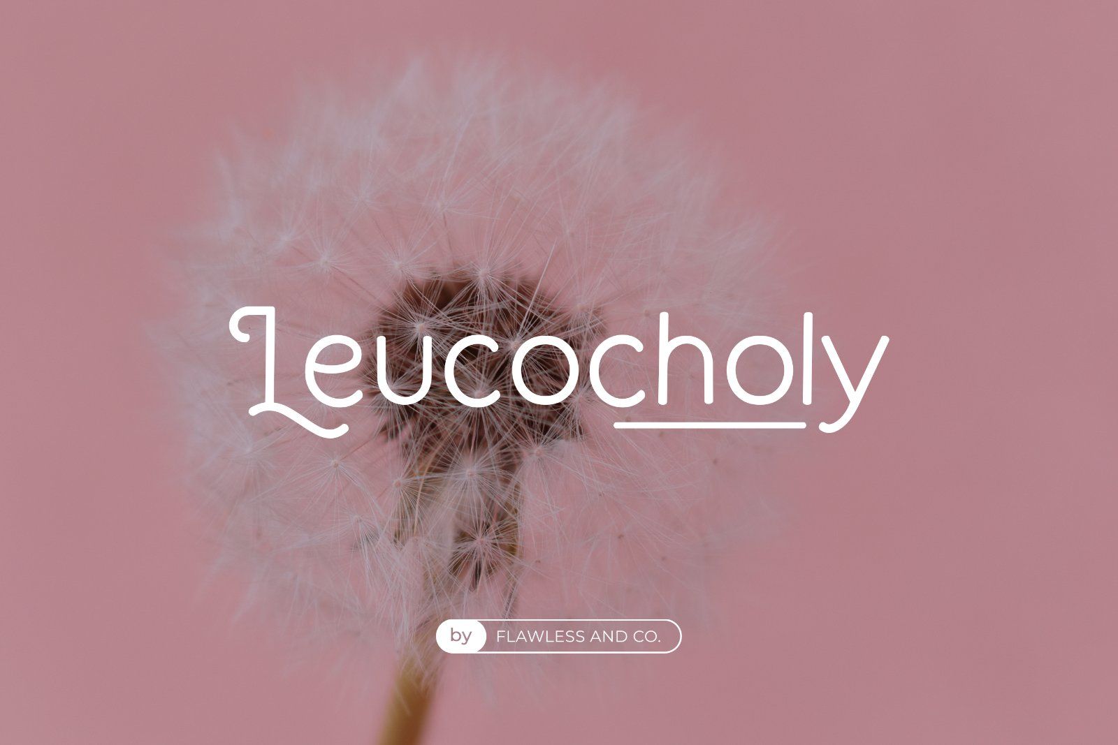 Camello - Elegant Sans Serif Font — image 4