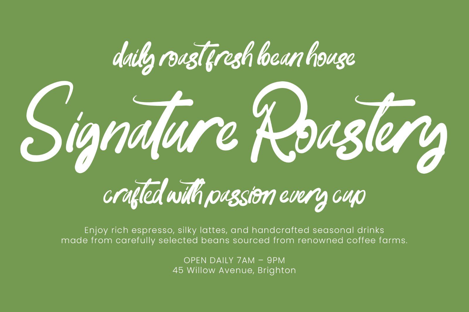 Paradise Coastal Modern Handwritten — image 3