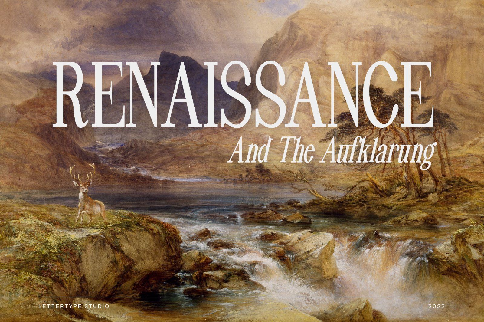 Pheromone | Modern Classic Serif — image 3