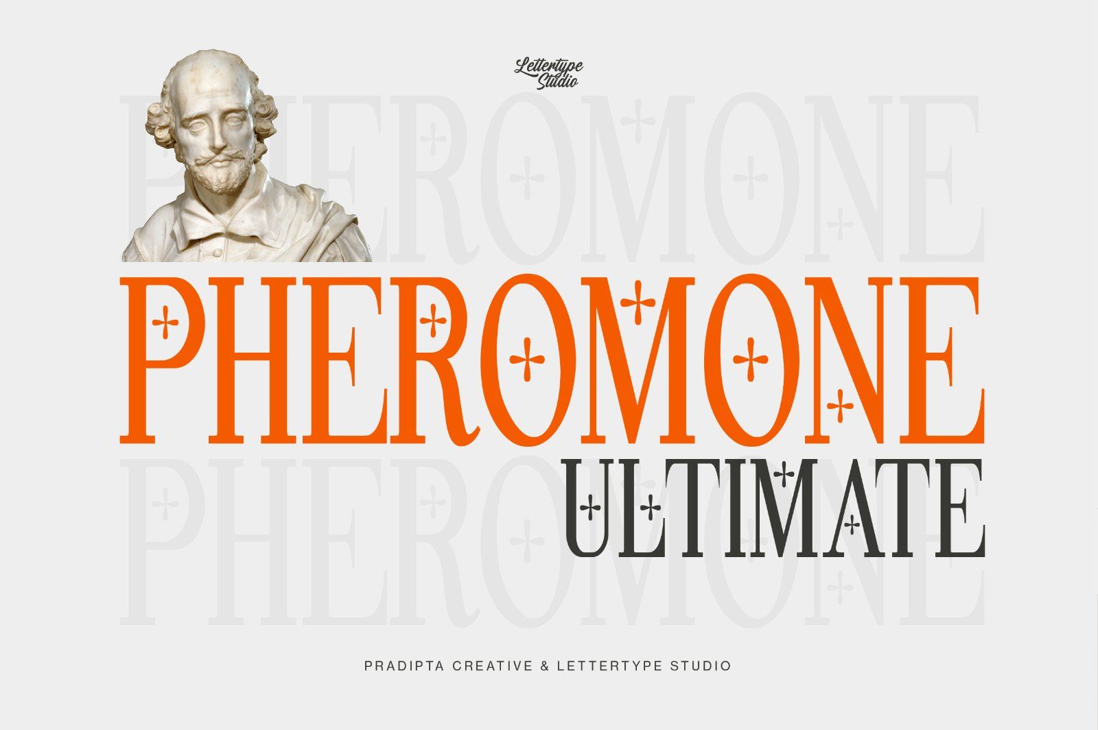 Pheromone | Modern Classic Serif — image 10