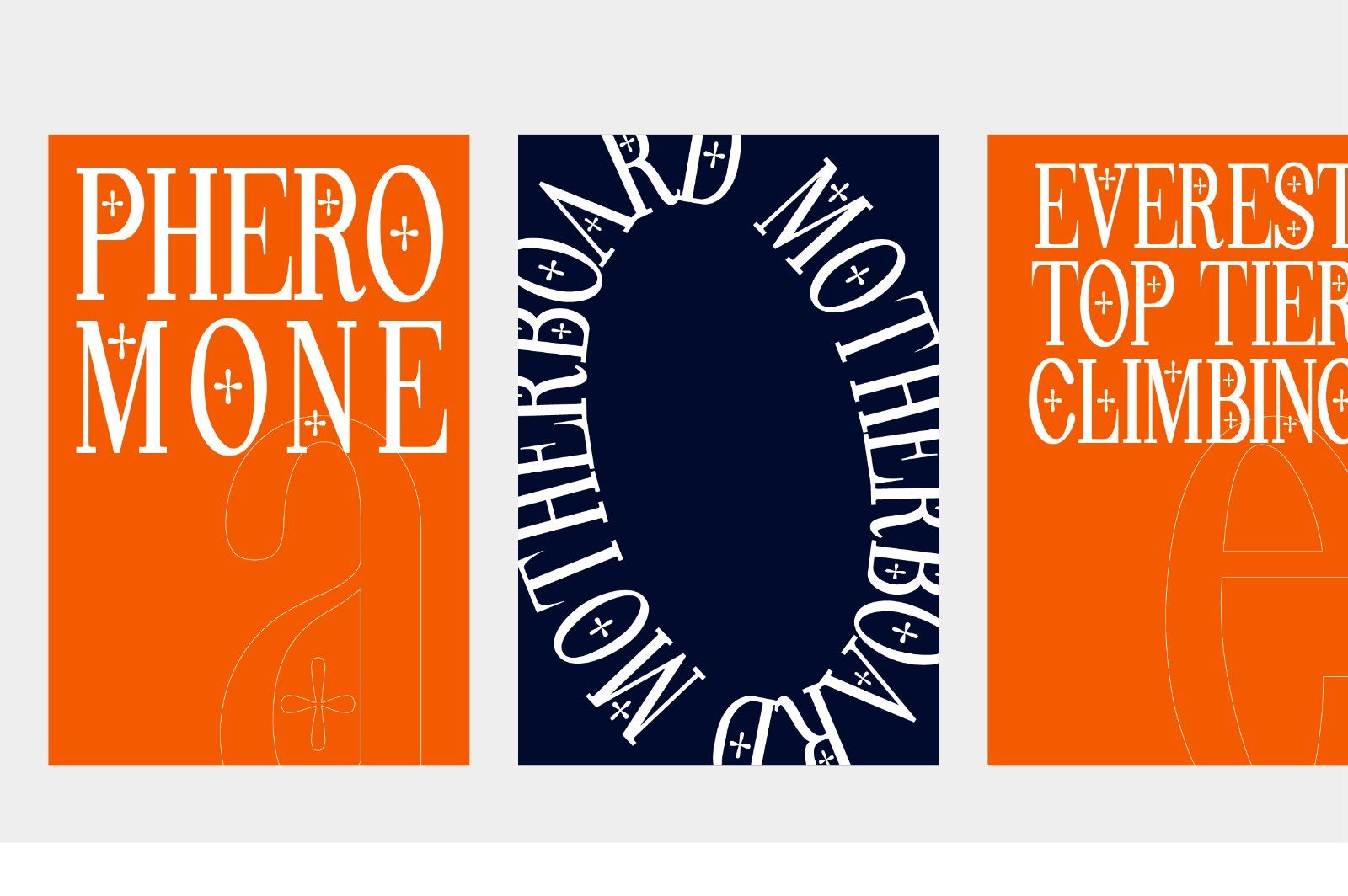 Pheromone | Modern Classic Serif — image 12