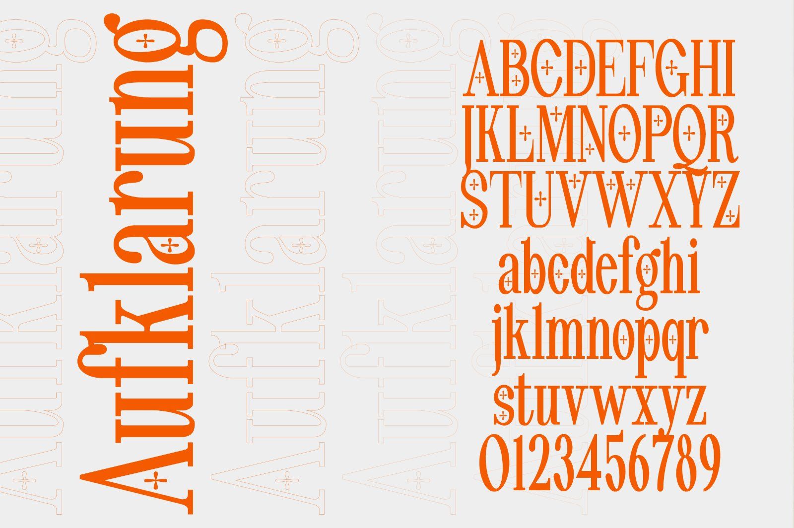 Pheromone | Modern Classic Serif — image 14