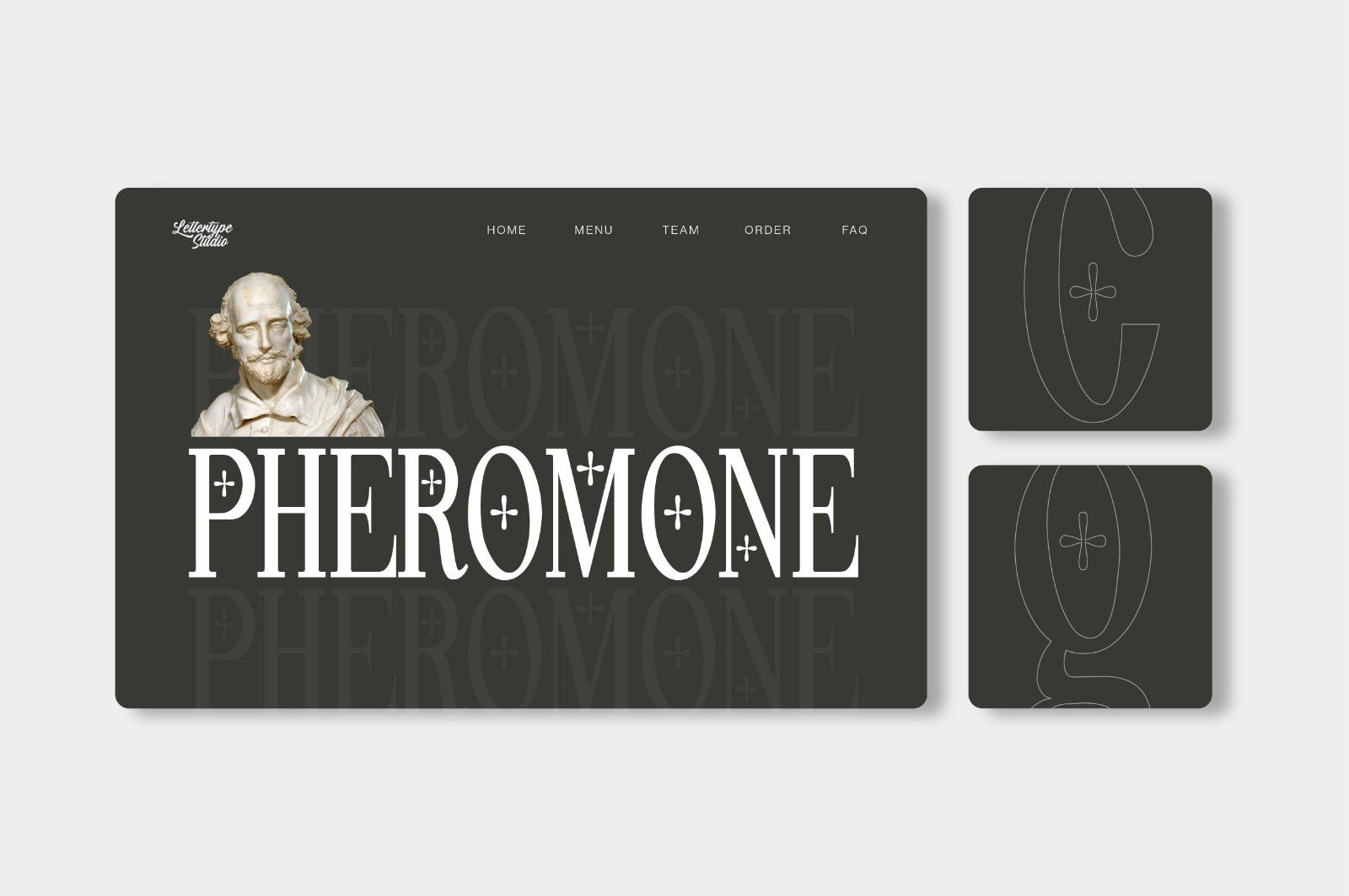 Pheromone | Modern Classic Serif — image 16