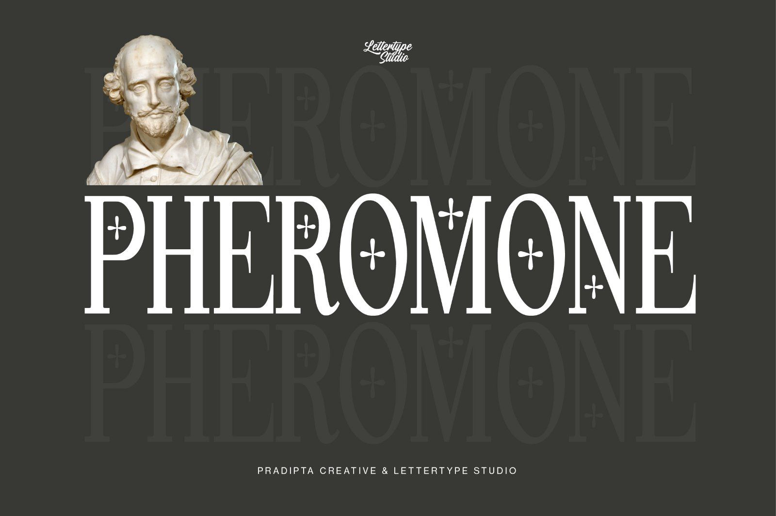 Pheromone | Modern Classic Serif — image 21