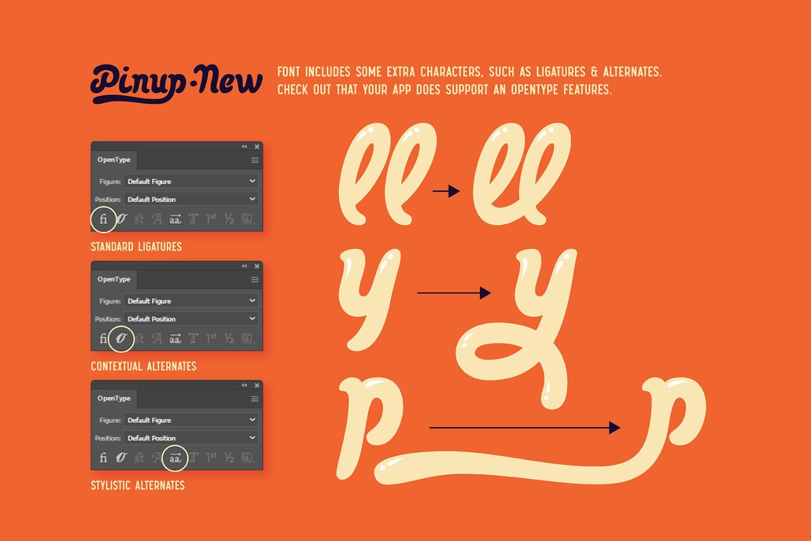 Pinup New! Font and Illustration. — image 4