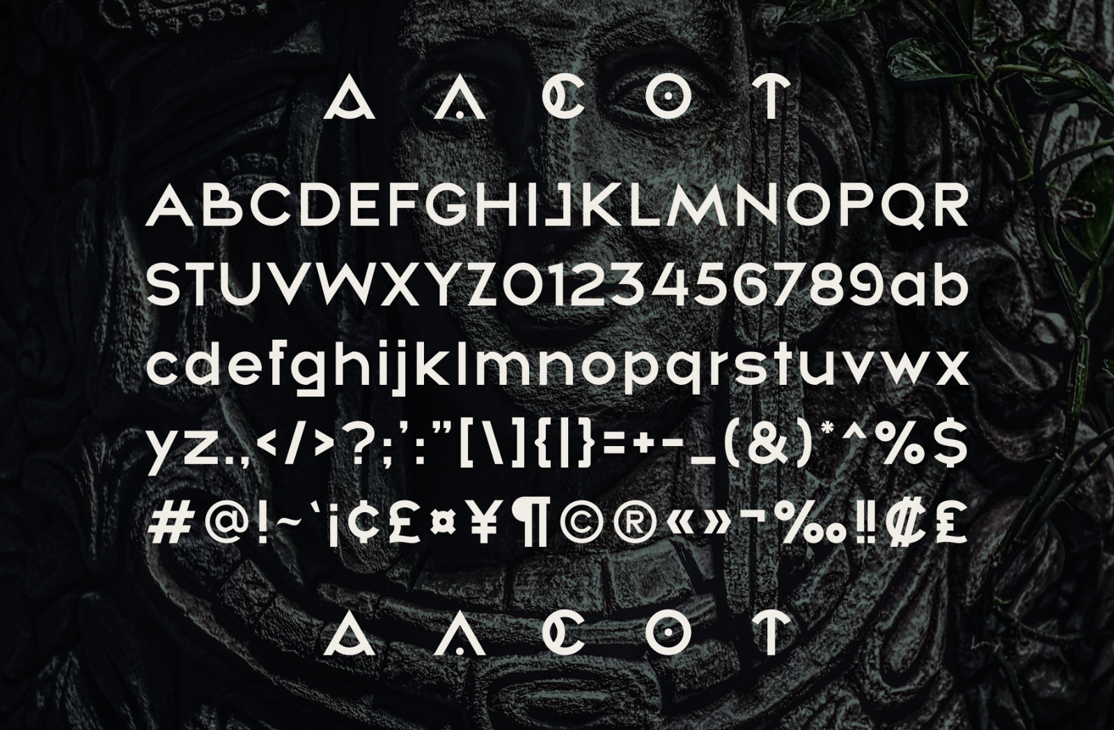 Yacote — image 6