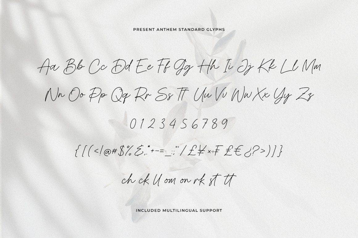 Present Anthem Modern Signature Script Font — image 11