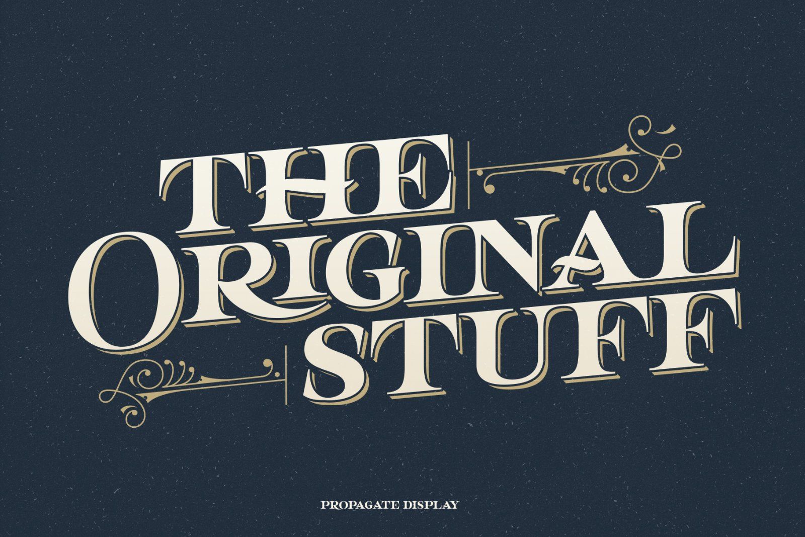 Propagate - Vintage Serif — image 2