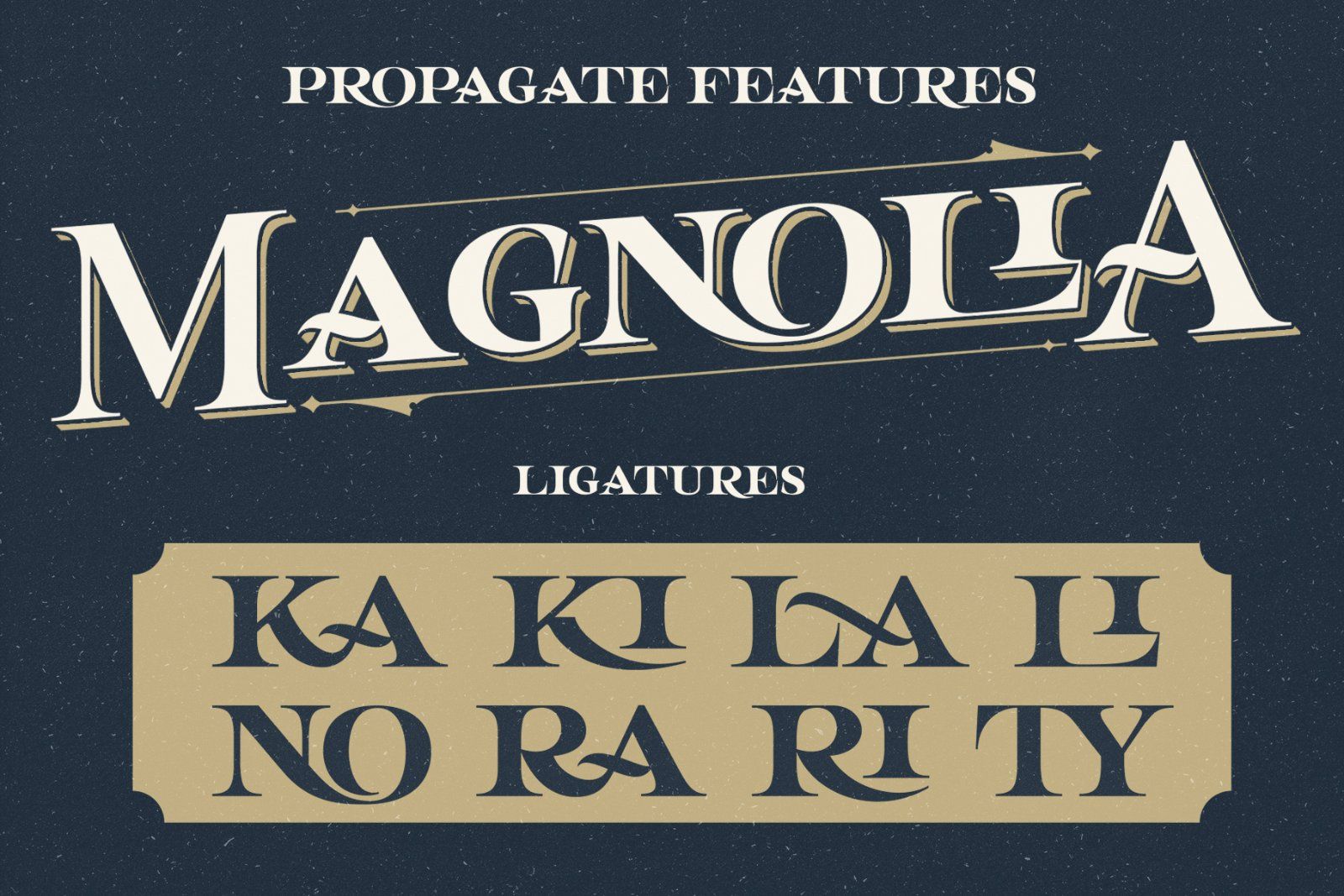 Propagate - Vintage Serif — image 5