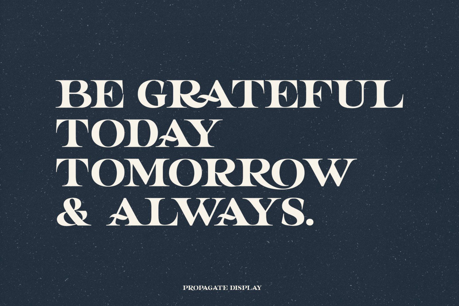 Propagate - Vintage Serif — image 6