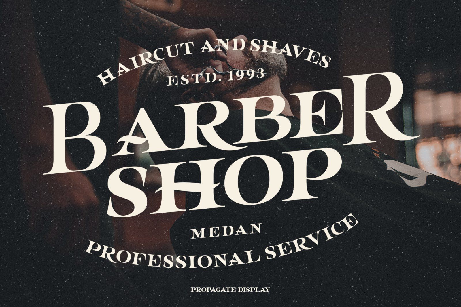 Propagate - Vintage Serif — image 8