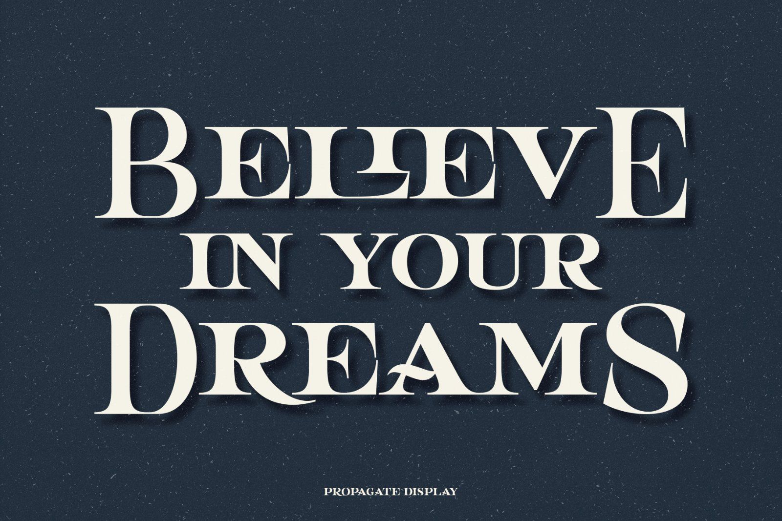 Propagate - Vintage Serif — image 9