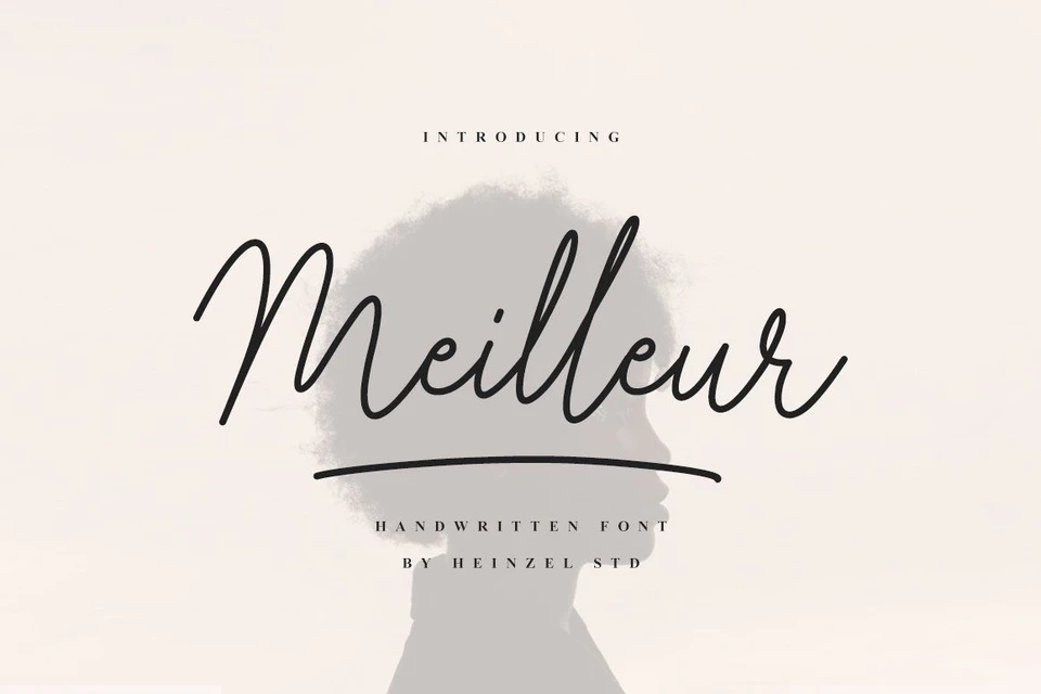 Meilleur
