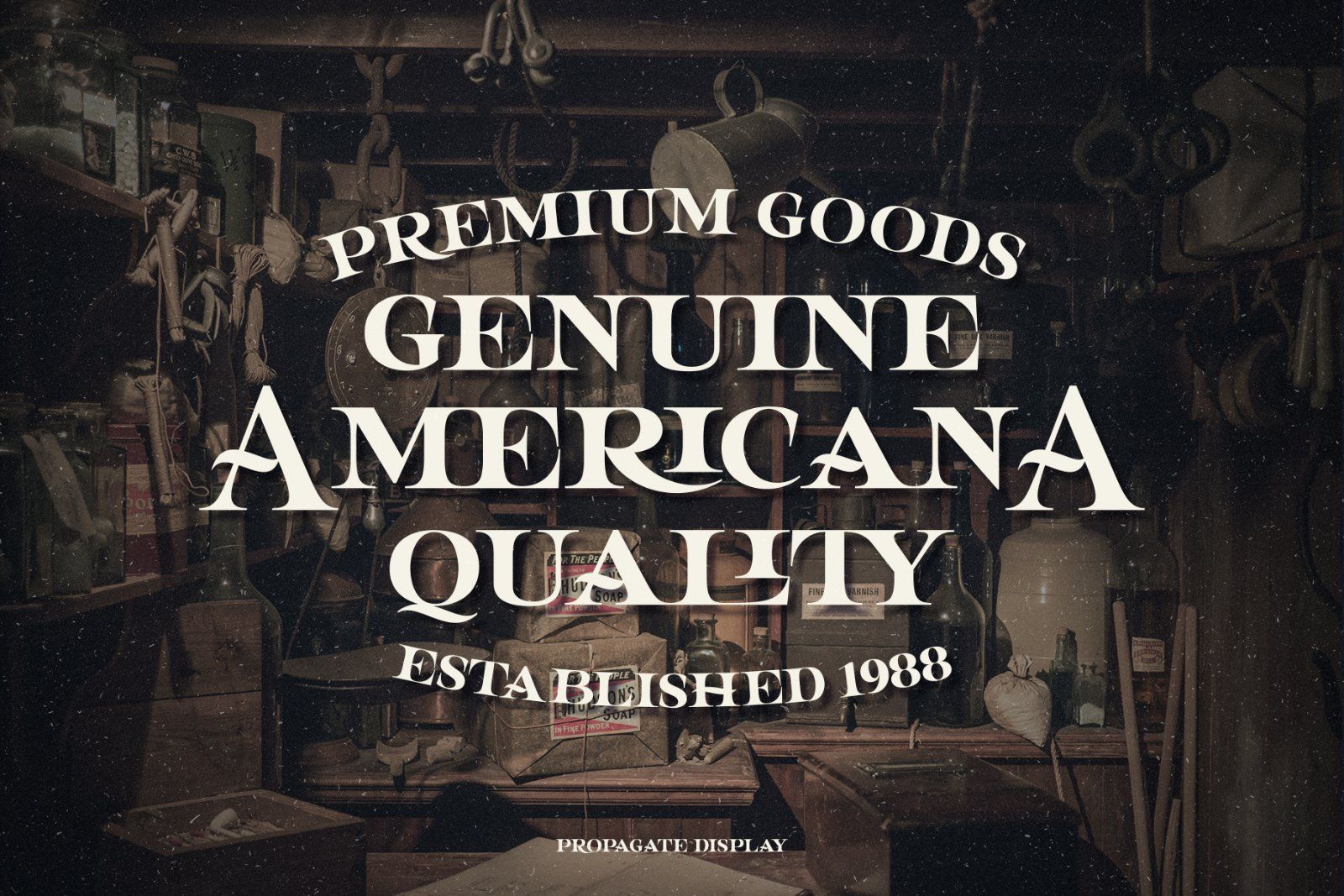 Propagate - Vintage Serif — image 10