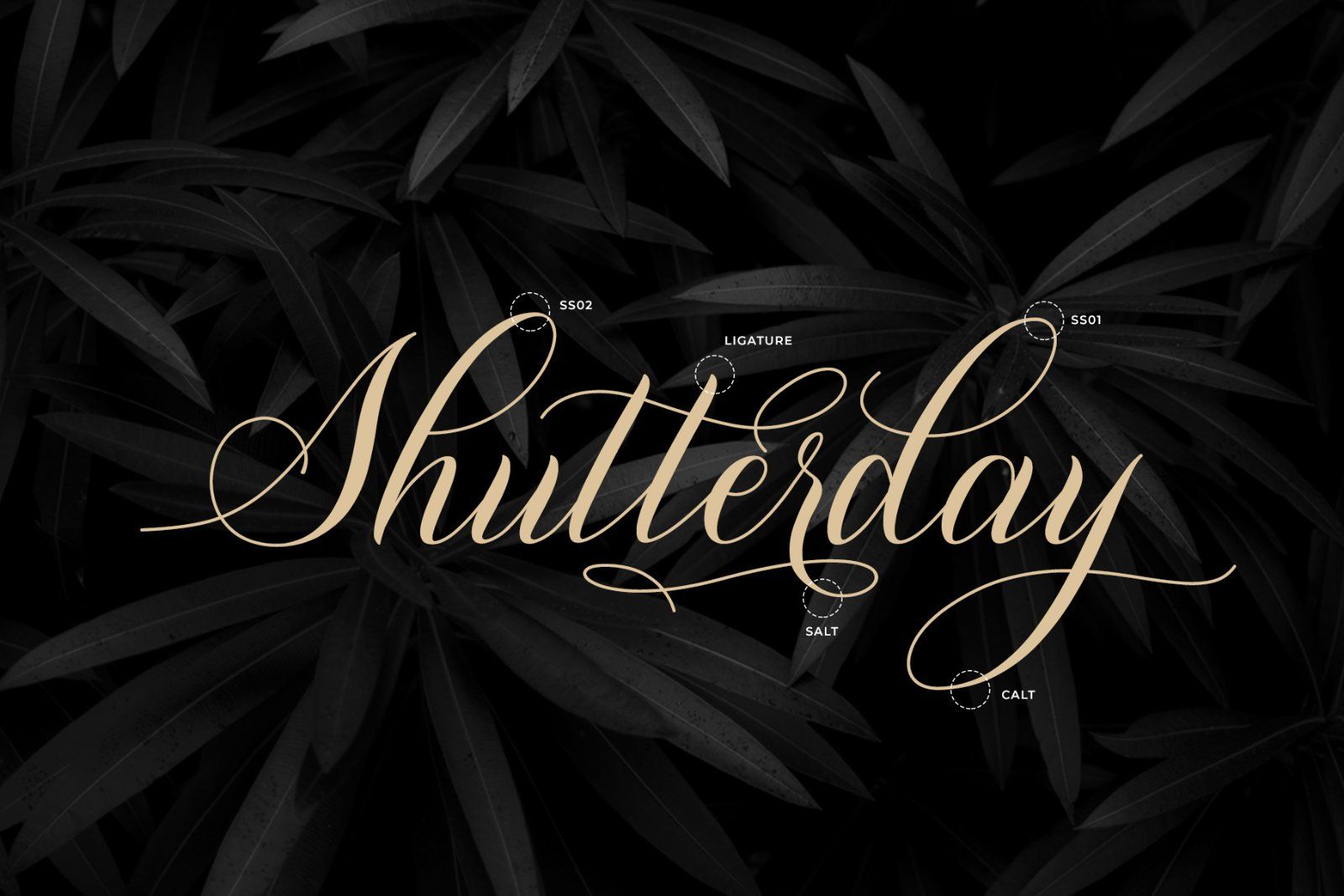 Shutterday