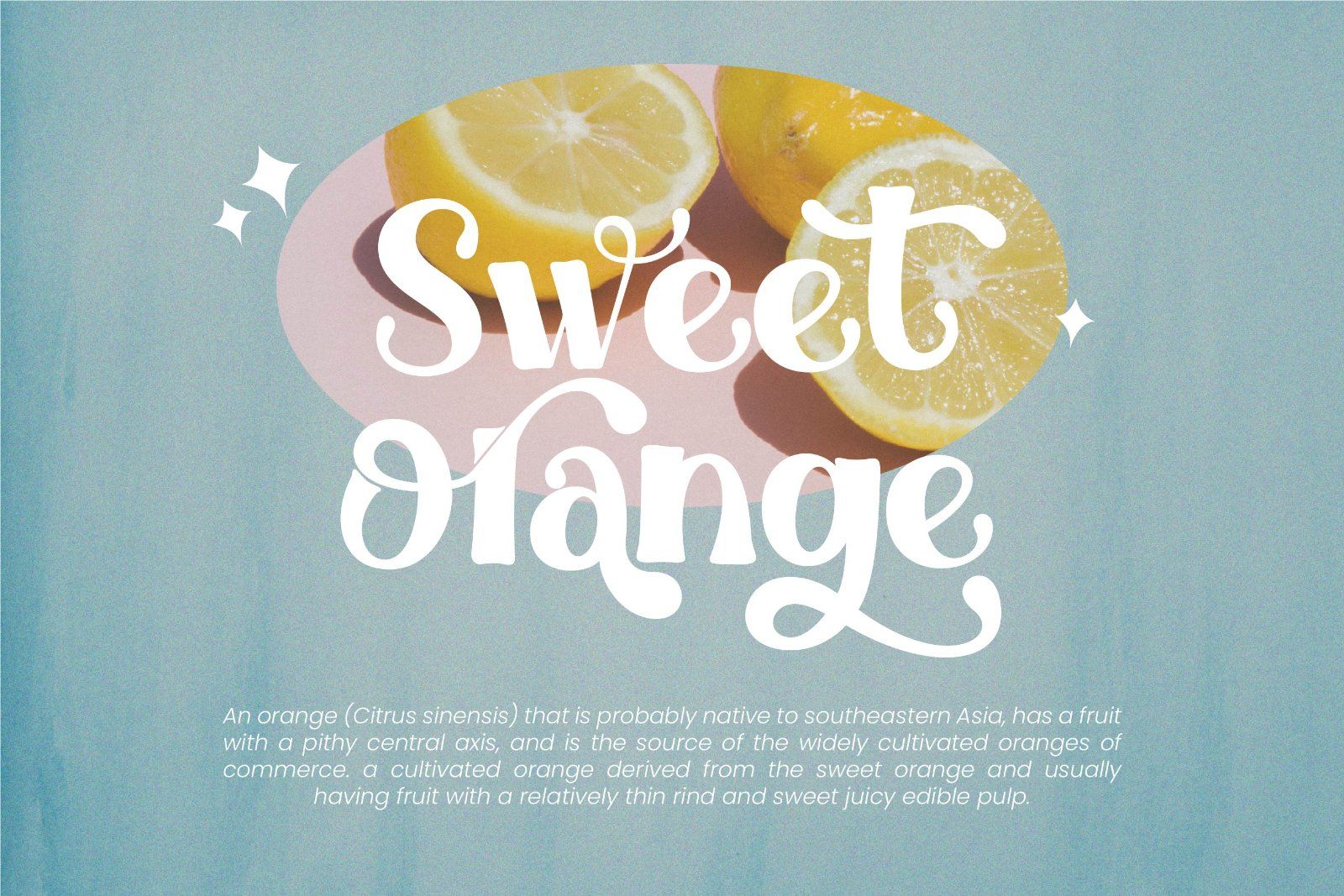 Adelaide - Stylish Retro Display Font — image 7