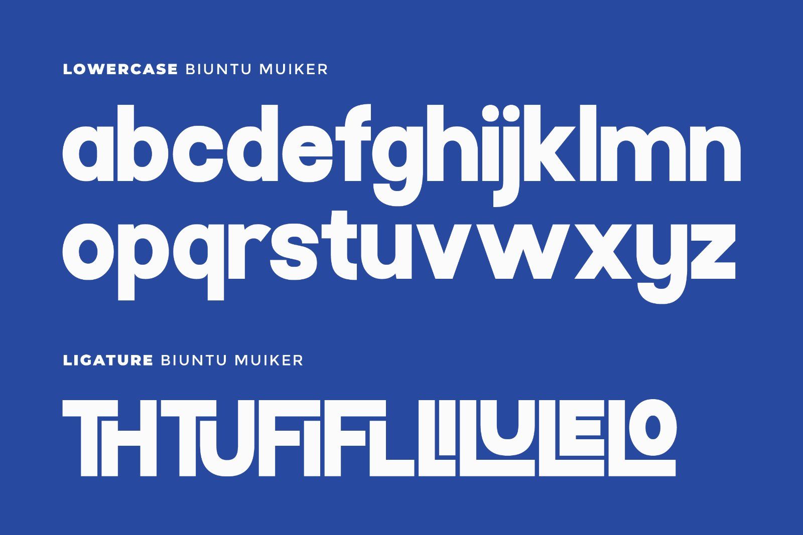 Biuntu Muiker - Bold Sans Serif Font — image 8