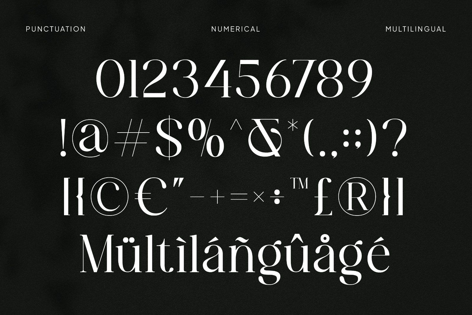 Bravioly - Elegant Serif Font — image 8