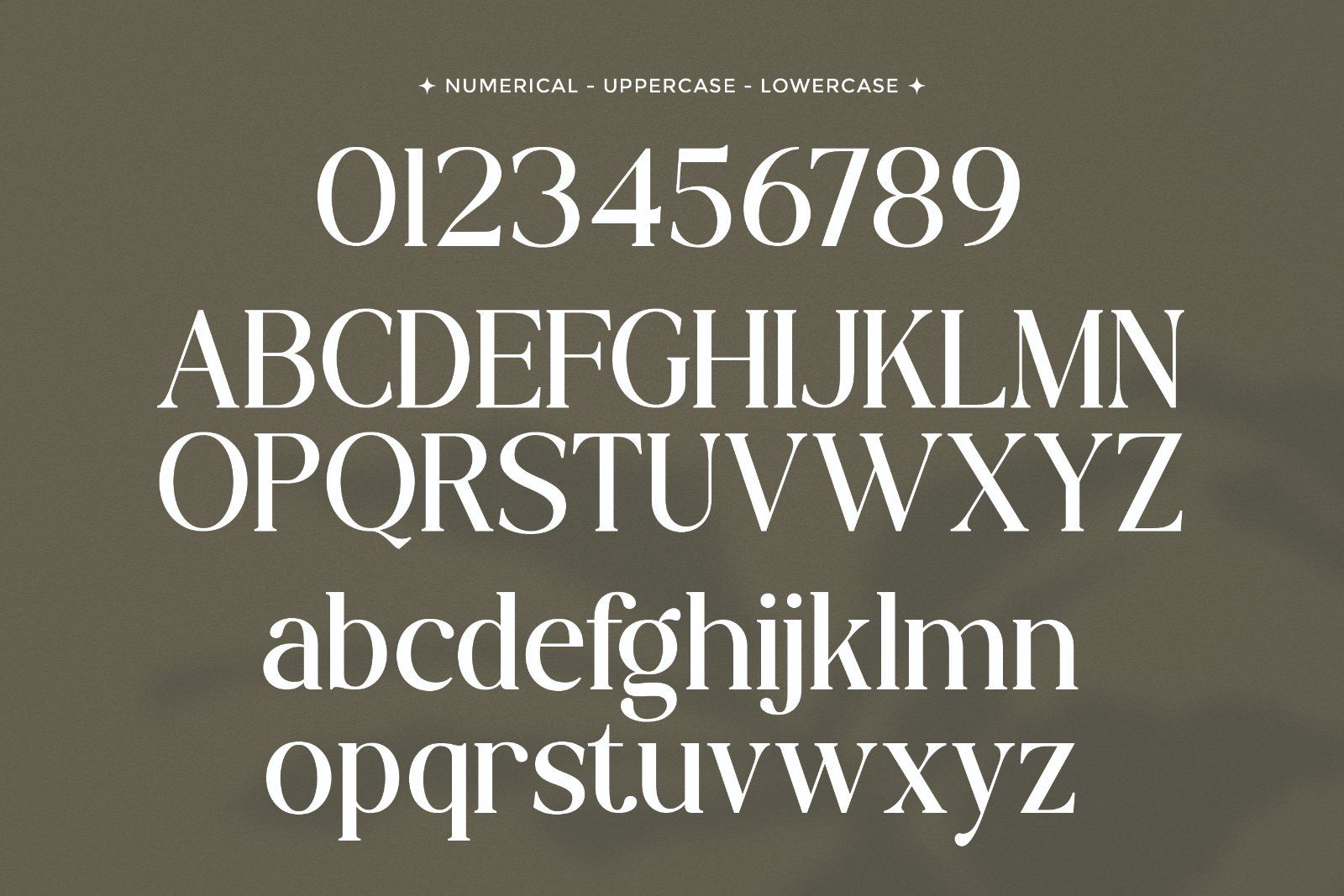 Brogade - Stylish Retro Serif Font — image 8