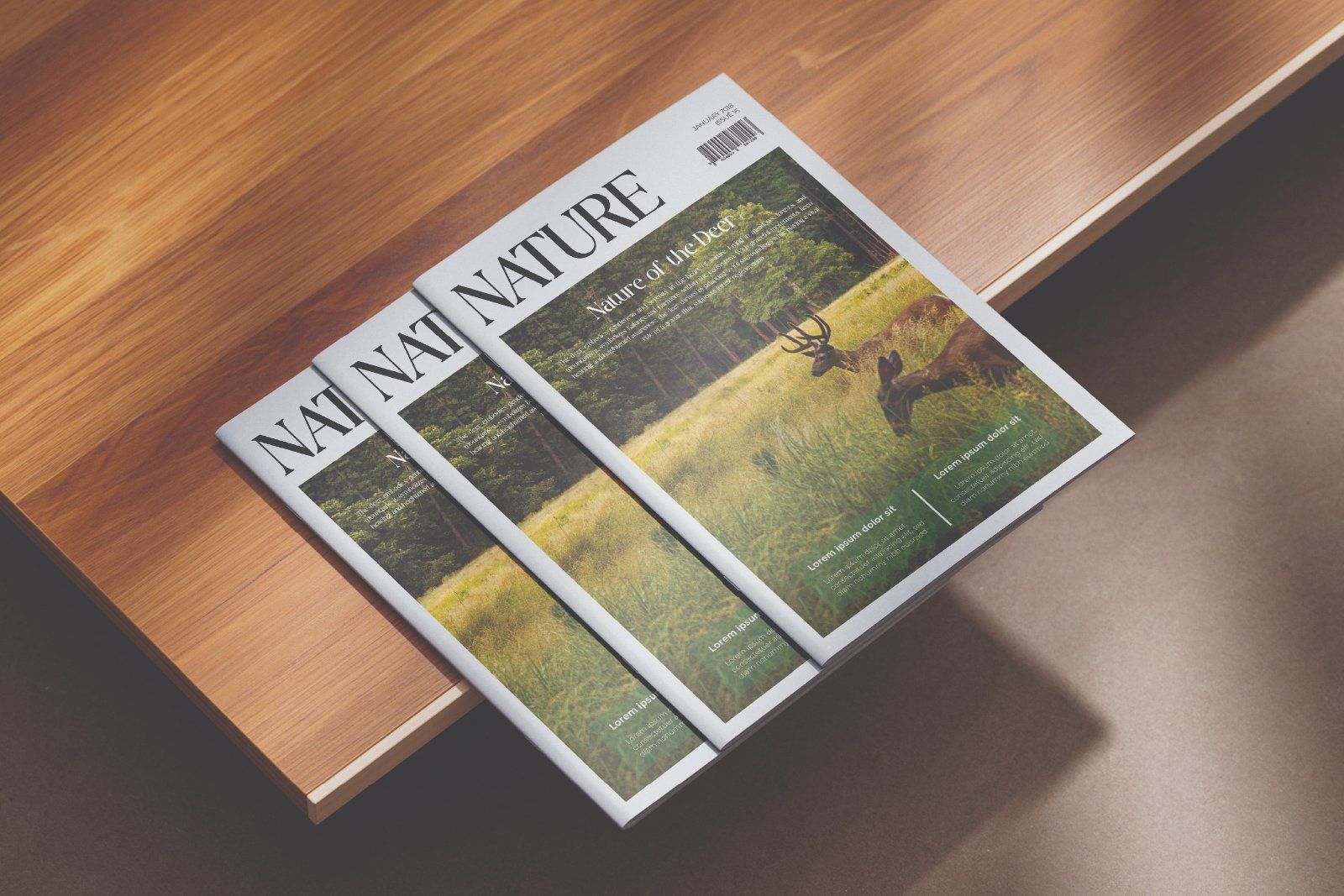 Brogade - Stylish Retro Serif Font — image 7
