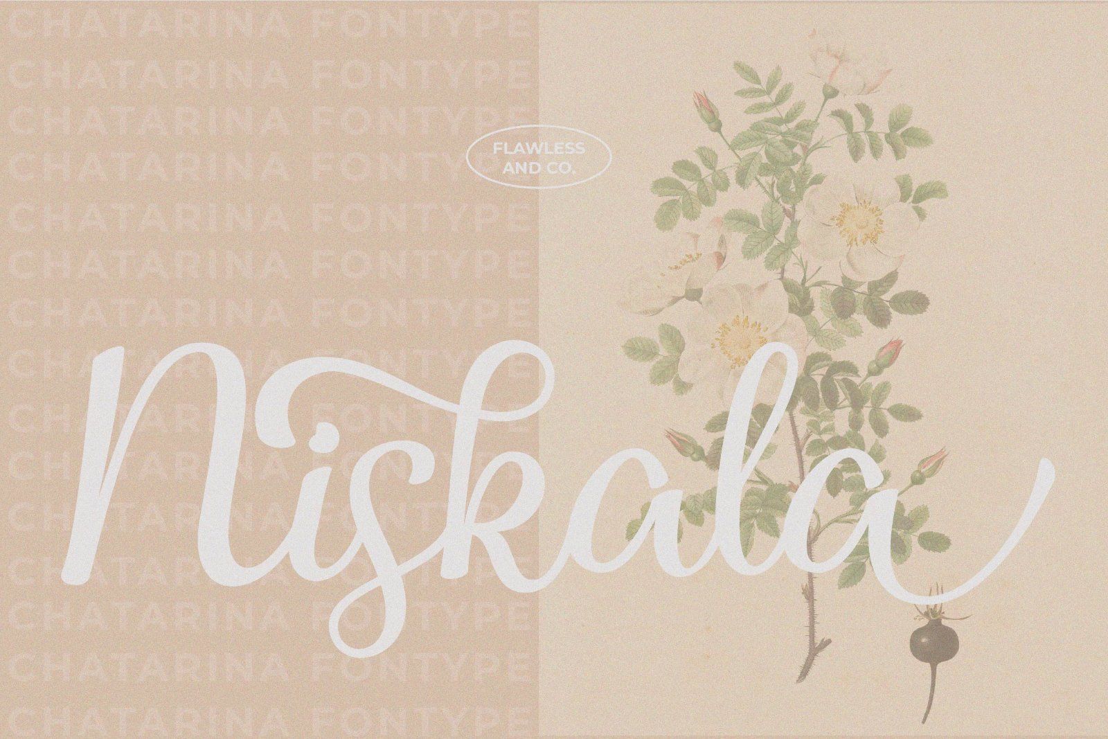 Chatarina - Script Handwiting Font — image 4