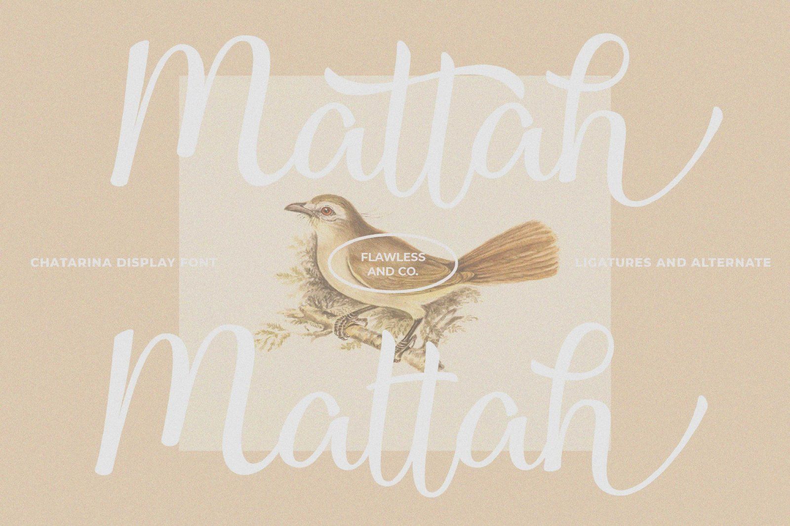 Chatarina - Script Handwiting Font — image 6
