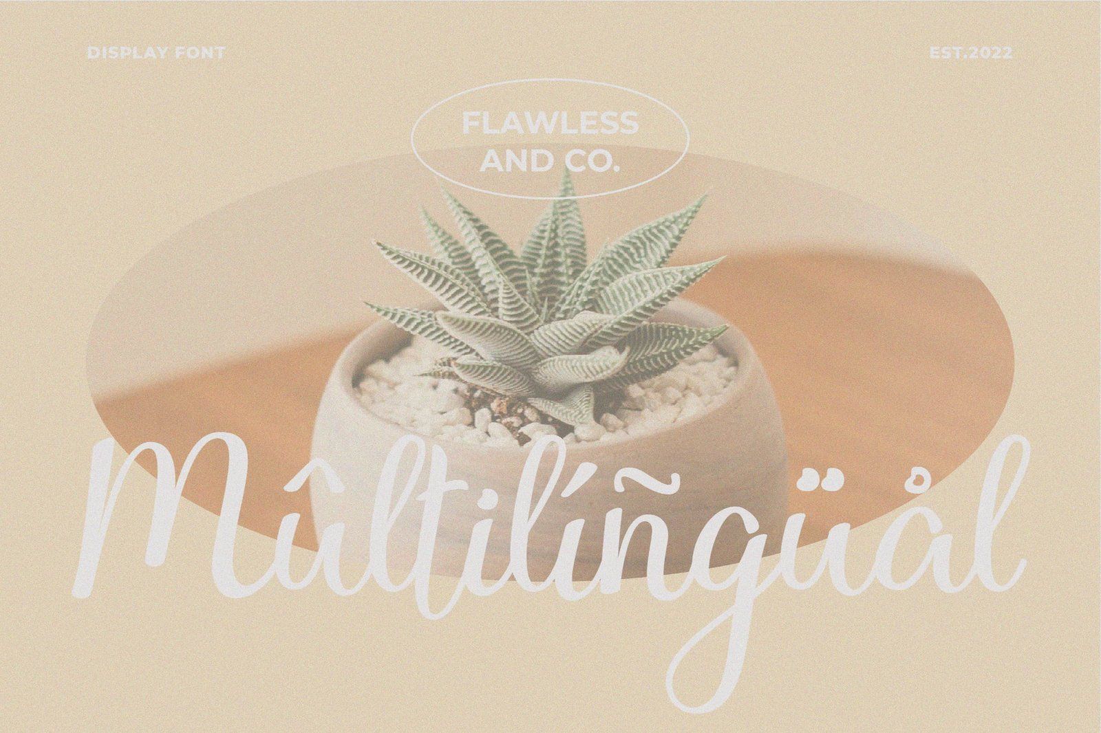 Chatarina - Script Handwiting Font — image 11