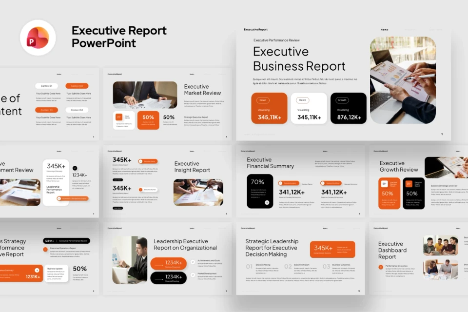 Executive Report